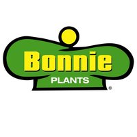 bonnie