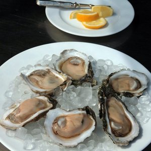 Oysters