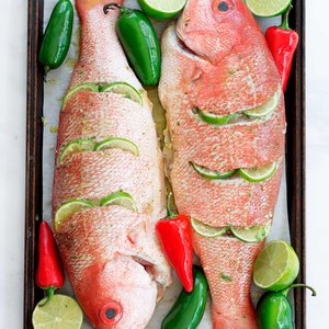 Snapper