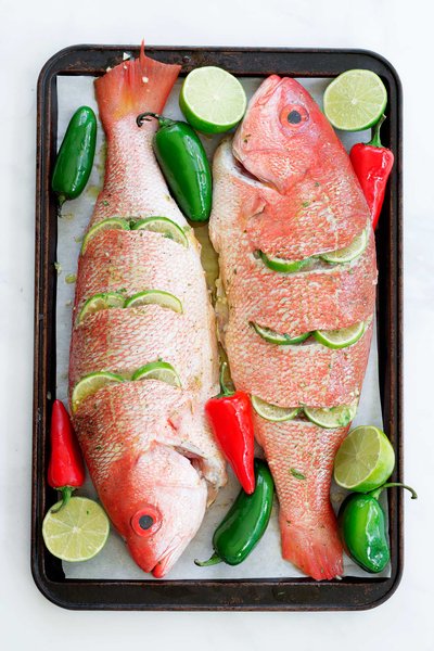 Snapper